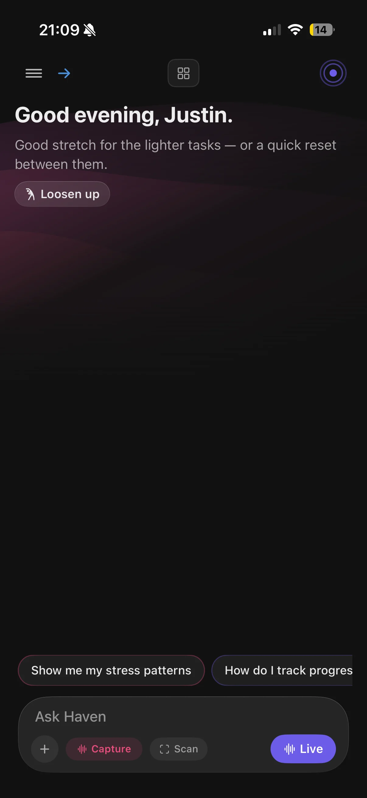 HealthMemory home screen, with Haven